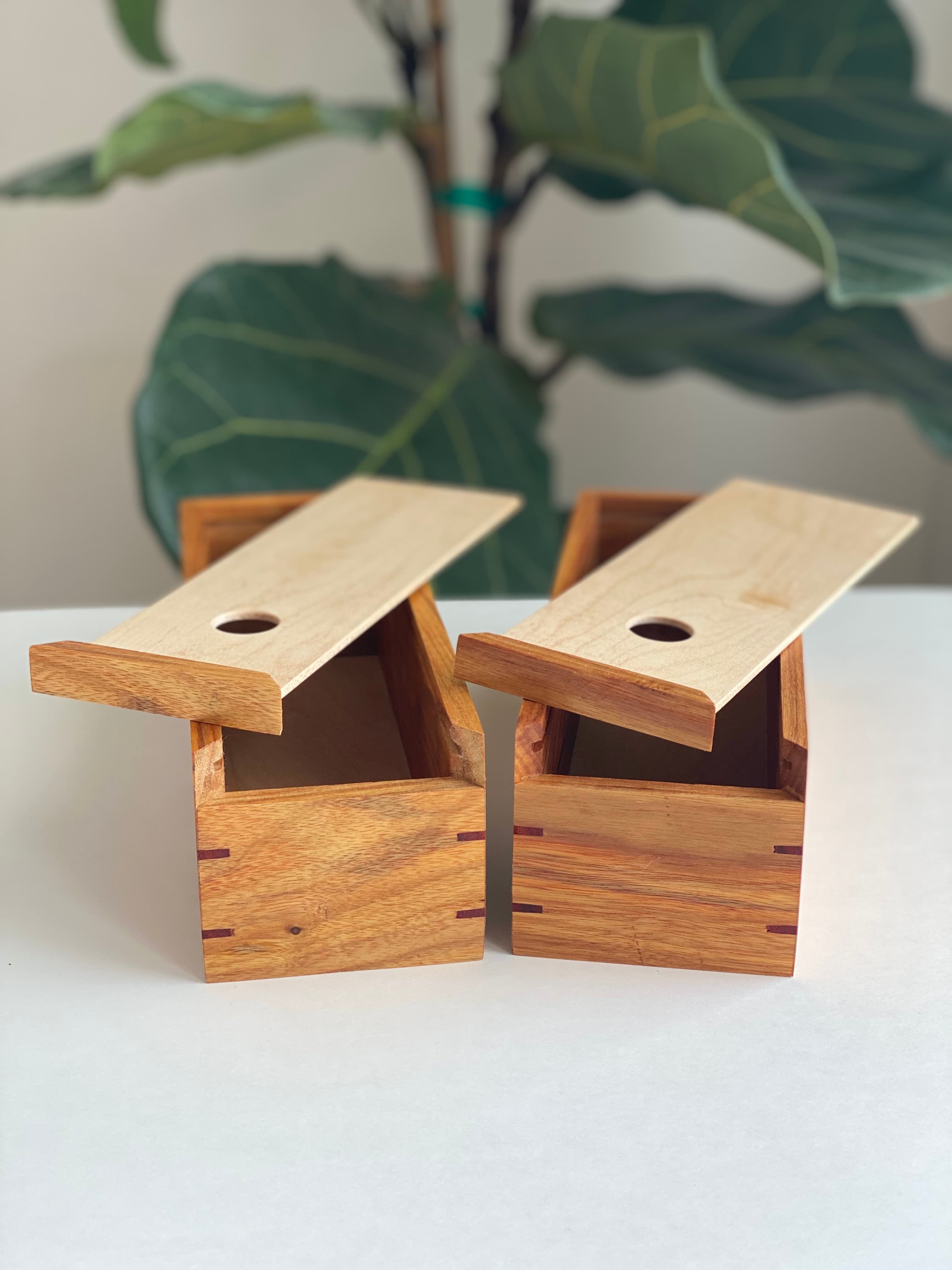 canarywood box, maple lid